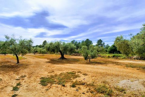 Finca i Ginestar, Tarragona, Ginestar - € 36.000 | Ref: CC827 - foto 3